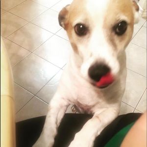 Meet your Posher, Marcella